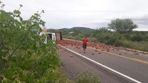 Caminhão com uma carga de tijolos capota na BR 020 em Tauá