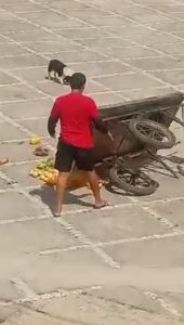 Policial é flagrado ao jogar no chão carrinho de frutas de ambulante em Fortaleza
